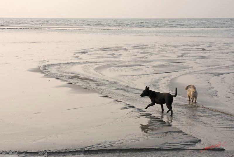 Cjp_2010_04_14_173217 (1).jpg